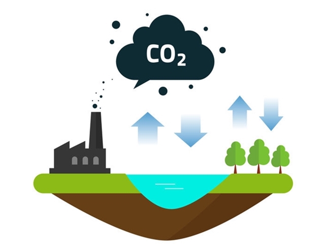 5 Steps to Carbon Neutrality in Manufacturing 