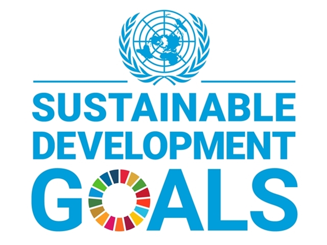 UN Sustainable Development Goals from a Manufacturers Perspective