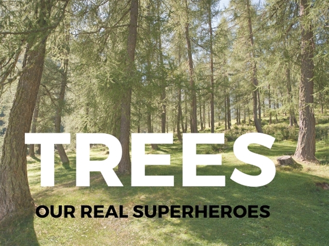 Trees - Our Real Super Heros 